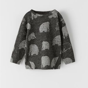 Zara Infant Boys/Girls Mammoth Tee - Size 9-12 Months